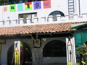 IMG_6538 IMG_6538